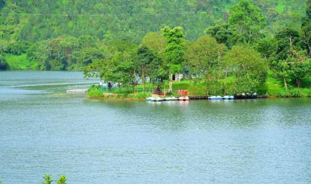 Munnar Lush Greens Εξωτερικό φωτογραφία