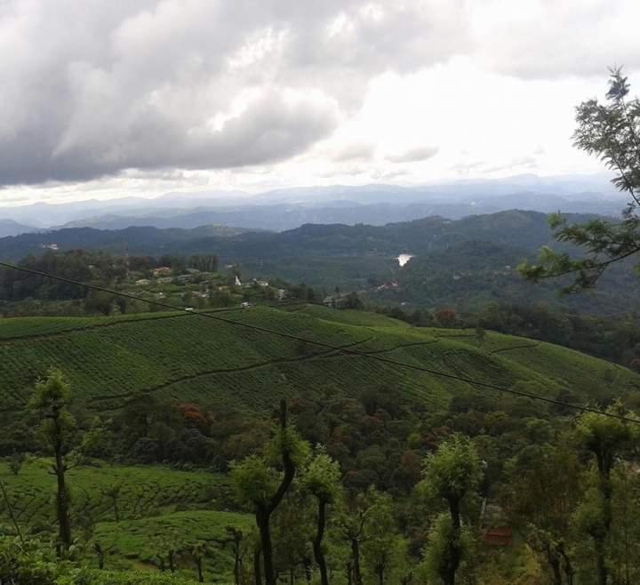 Munnar Lush Greens Εξωτερικό φωτογραφία