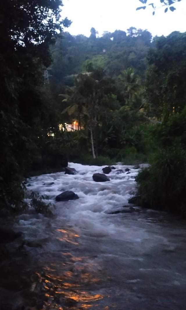 Munnar Lush Greens Εξωτερικό φωτογραφία